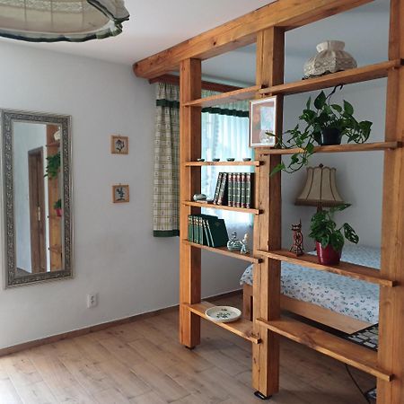 Statek U Spulaka Apartment Lomnice nad Lužnicí Екстериор снимка