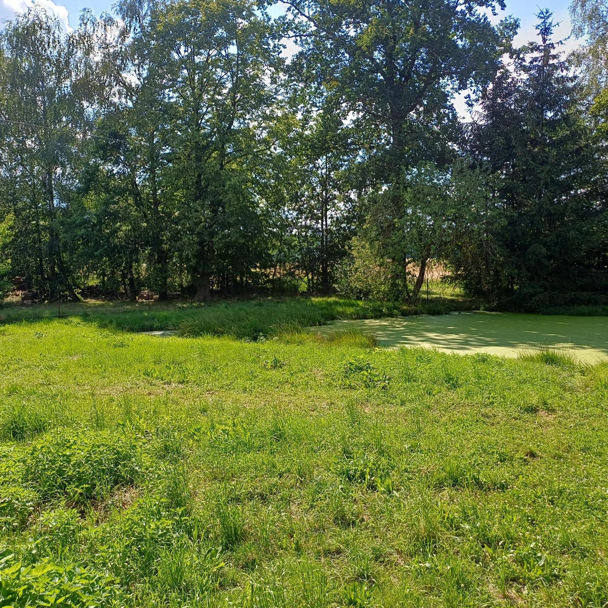 Statek U Spulaka Apartment Lomnice nad Lužnicí Екстериор снимка
