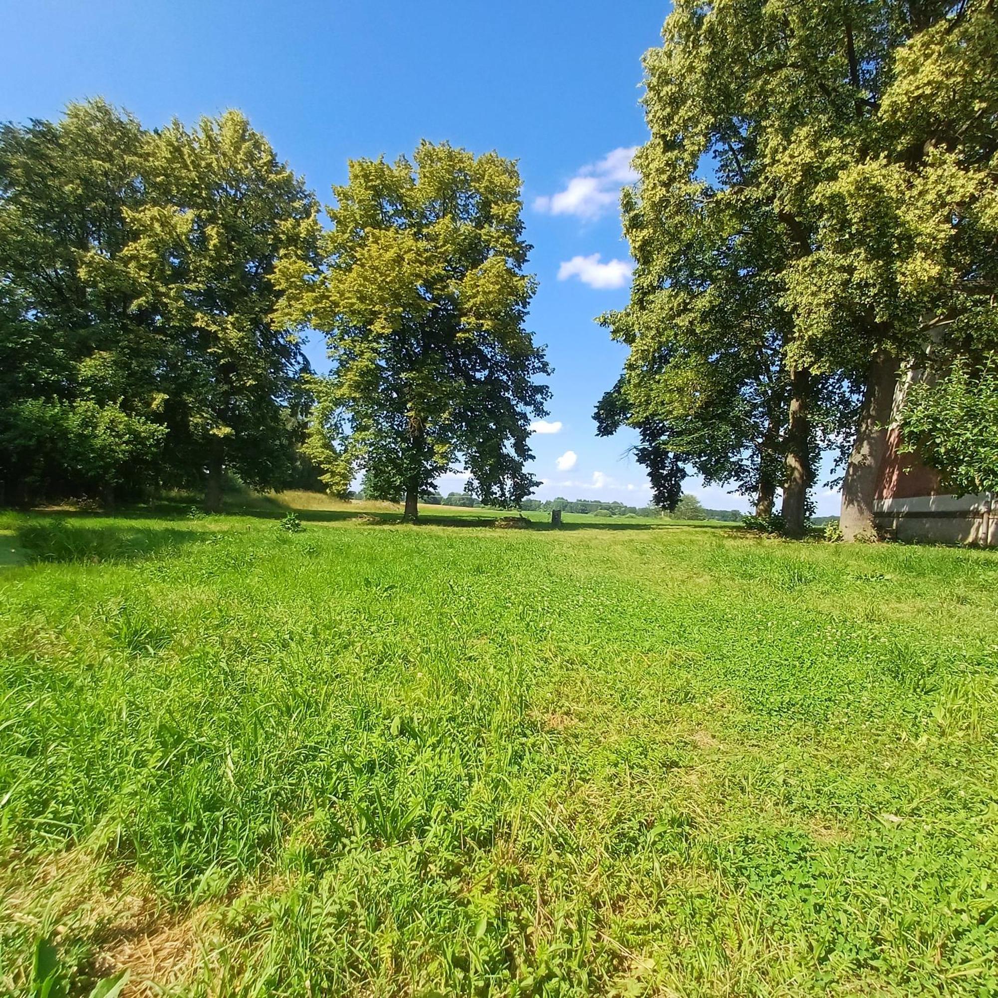 Statek U Spulaka Apartment Lomnice nad Lužnicí Екстериор снимка
